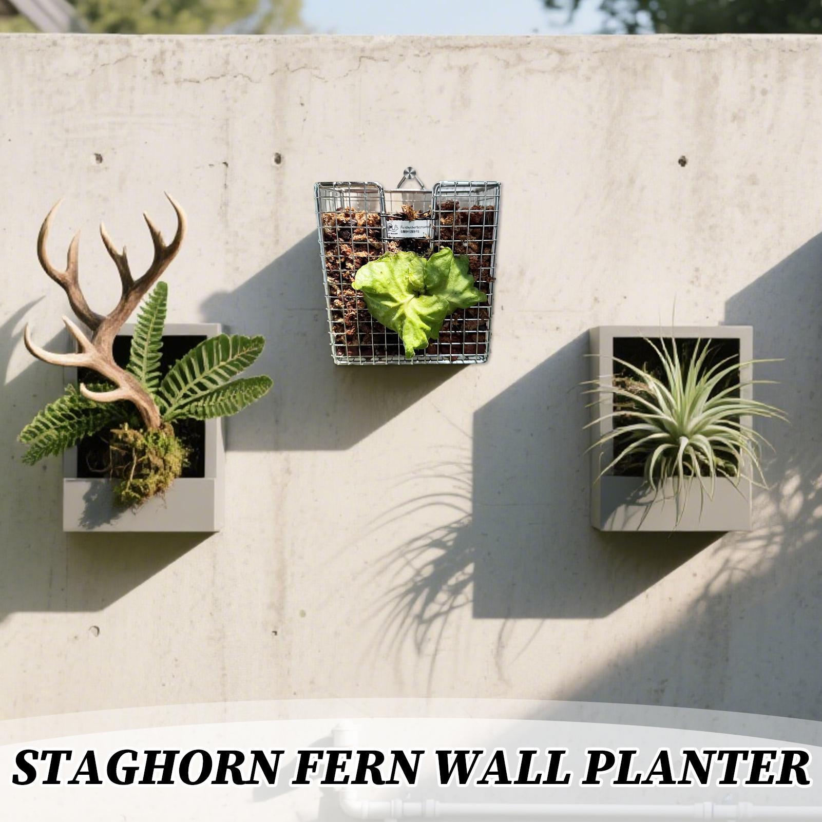 スタッグホーンシダ取り付けキット ステンレス製壁掛けプランタ - Hanging Planter Basket のレビューと価格