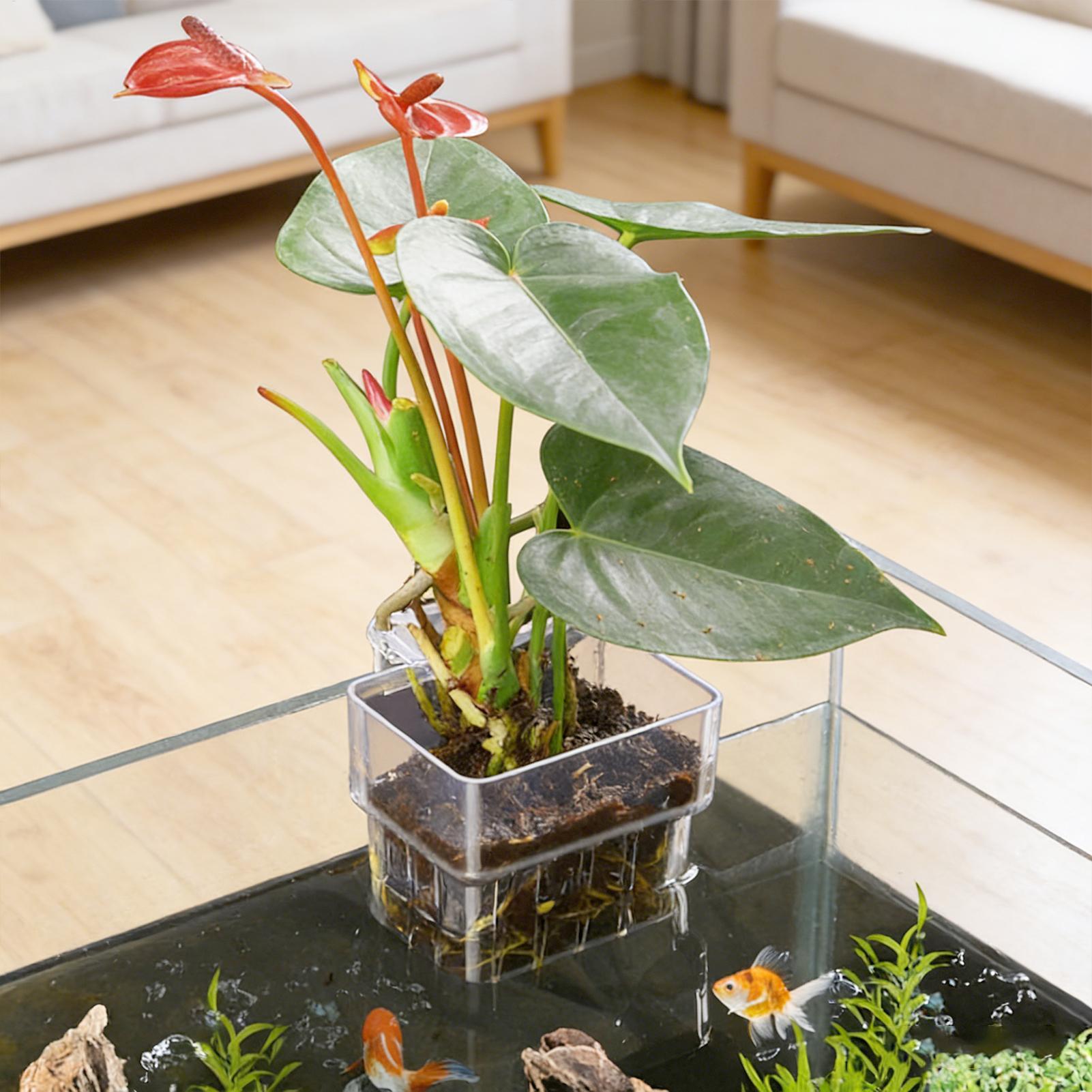 水槽植物バスケット透明水槽吊り下げ装飾ポット水生植物ホルダー - Hanging Planter Basket のレビューと価格