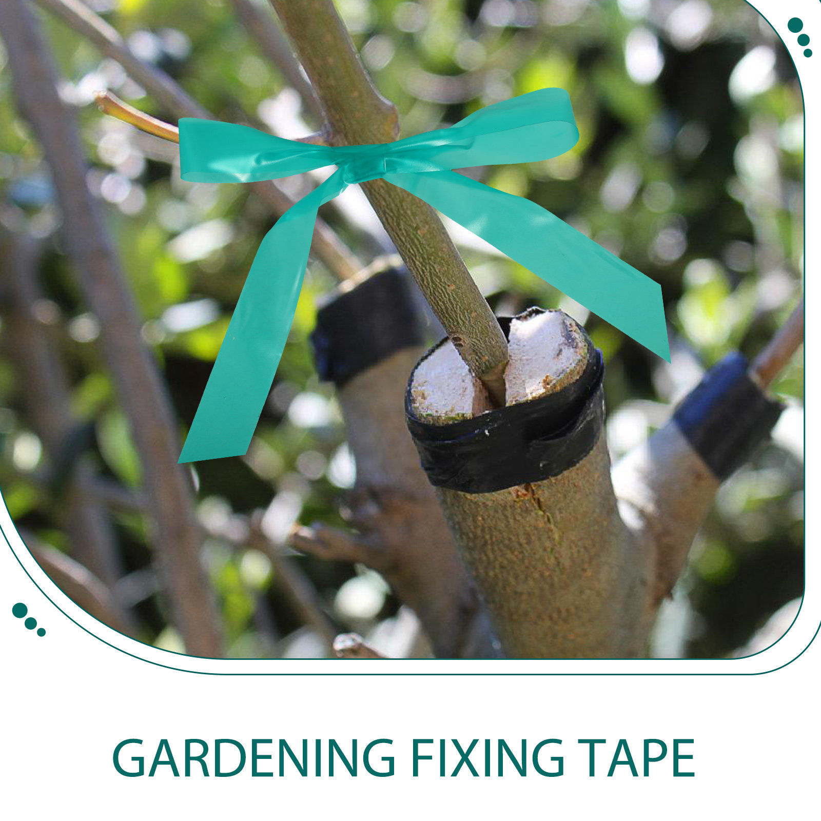 2個入り 2ロール 伸縮性のある接ぎ木テープ 庭の植物の修復 - Gardening Tools Repair のレビューと価格